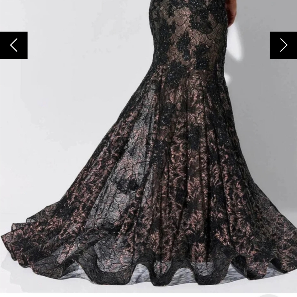 Ivonne D size 16 With A Few Alterations! - Picture 2 of 16